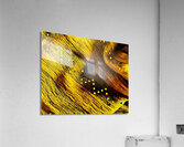 Strass Acrylic Print