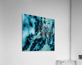 Turquoise  Acrylic Print