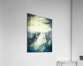 Illusion I Acrylic Print