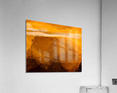 Dorade Acrylic Print