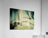 Douceur  Acrylic Print
