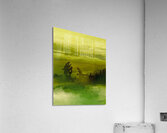Cactus  Acrylic Print