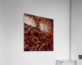 Sinueux  Acrylic Print
