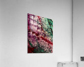 Granules  Acrylic Print