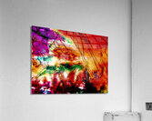 Envolee Jolabis Acrylic Print