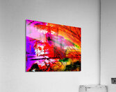 Le grand V Acrylic Print