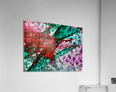 Cristalline  Acrylic Print