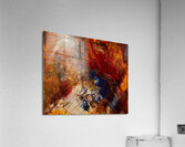 Incompris  Acrylic Print