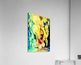 Surconsommation  Acrylic Print