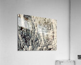 Escalade  Acrylic Print