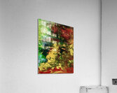 Ruisseau  Acrylic Print