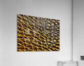 Craquelures  Acrylic Print