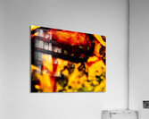Jonction  Acrylic Print
