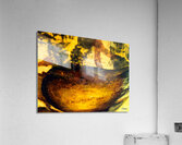 Aubergine Acrylic Print