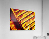 Parallelement  Acrylic Print