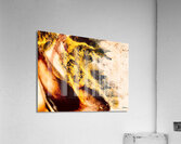 Fuyant Acrylic Print