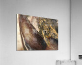 Porosite  Acrylic Print