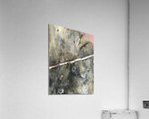 Pierre Jolabis  Acrylic Print