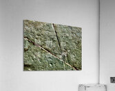 Jonction Jolabis  Acrylic Print
