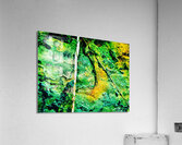 Pierre eponge Acrylic Print