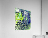 Vert jade Acrylic Print