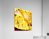 Les ombres  Acrylic Print