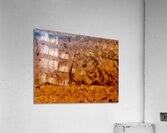 Fossiles  Acrylic Print