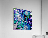 Fleurs d’automne  Acrylic Print