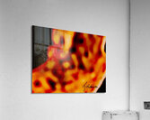 Alveoles  Acrylic Print