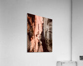 Pelerin  Acrylic Print