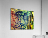 Transparence II Acrylic Print
