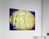Transparence III Acrylic Print