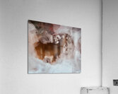 Cerf protege  Acrylic Print