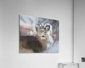 Jeune cerf Acrylic Print