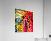 Les clans  Acrylic Print