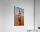 Genetique  Acrylic Print