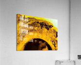 Ensemble  Acrylic Print