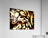Fauve Acrylic Print