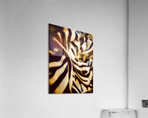 Noir et blanc  Acrylic Print