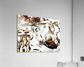 Platine  Acrylic Print
