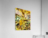 Dechirement  Acrylic Print