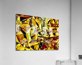 Dissimules  Acrylic Print