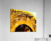 Ensemble  Acrylic Print