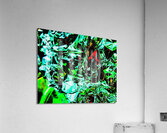 Energie verte Acrylic Print