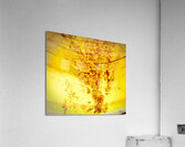 Cascades  Acrylic Print