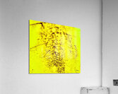 Humainement  Acrylic Print