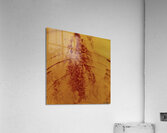 Paliers Acrylic Print