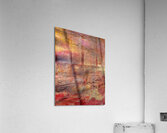 Terre de sienne  Acrylic Print