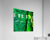 Toundra Acrylic Print