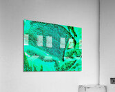 Foret boreale  Acrylic Print